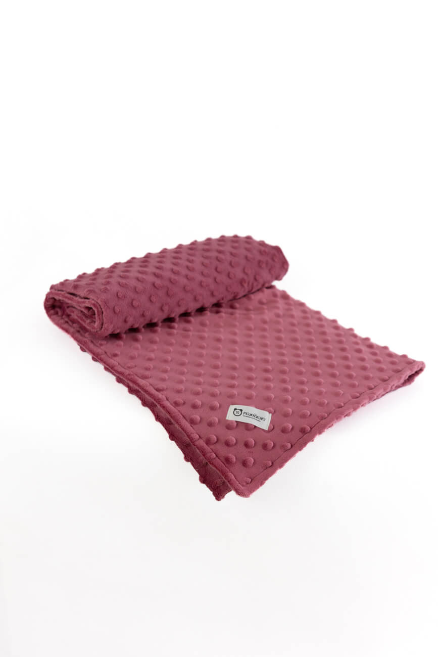 Minky deka - Slivková